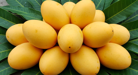 Mayongchid Maprang Marian Plum and Plum Mango thailand