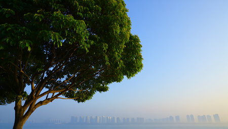 The image shows a large tree with vibrant green leaves dominating the left side of the frame. Its branches extend towards a hazy cityscape visible in the distance.  The city skyline is muted and indistinct due to atmospheric haze or morning mist. The sky is a clear, pale blue. The overall mood is serene and peaceful, contrasting the natural element of the tree with the urban environment in the background. The colors are soft and muted, with the greens of the tree standing out against the hazy blues and grays of the city and sky.の写真素材