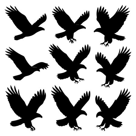 Nine black silhouette eagles in flight with spread wings and talons extended Scalable vector form...のイラスト素材