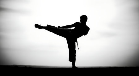 Silhouette of a taekwondo player in action at sunsetの写真素材