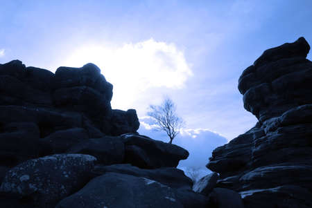 Silhouette of tree growing amonst rocks の写真素材