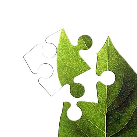 Jigsaw piece of isolated green leaf on whiteの写真素材