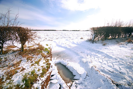 Tractor tracks lead into snow covered fieldの写真素材
