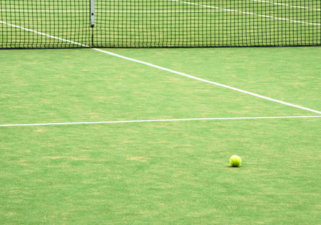 View of empty lawn tennis court with tennis ballの写真素材