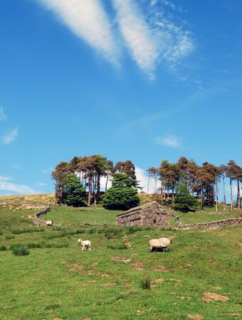 Scenic view taken in Yorkshire Dales National Parkの写真素材