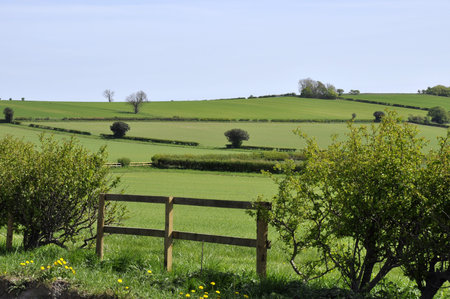Landscape view of Yorkshire farmland showing empty fields