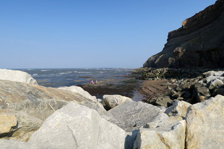 Family explore rockey beach at Whitby, North Yorkshire, UK.の写真素材