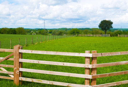 Farmer's wooden fence surrounding grassy fieldの写真素材