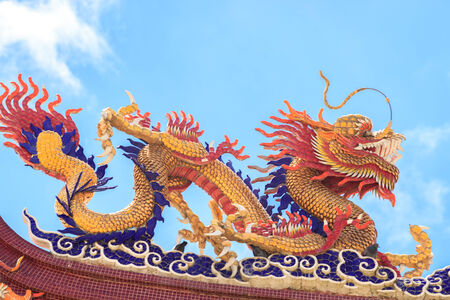 Dragonの写真素材