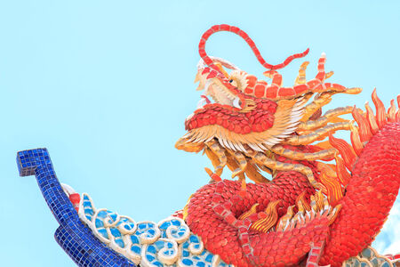 Dragonの写真素材