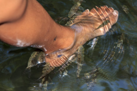 Fish and feet