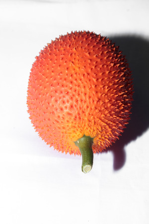 Sweet Gourdの写真素材