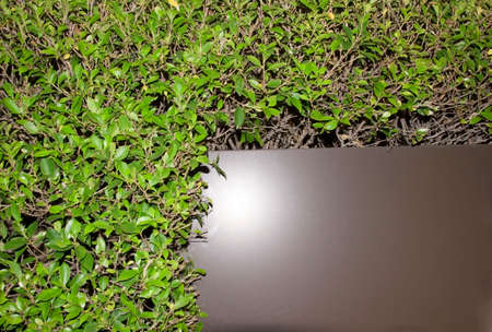Brown metal floor decoration, billboard with green trees makes the frame space and empty, suitable to write many different messages.の写真素材
