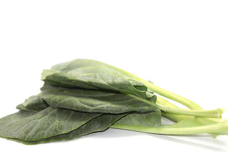 Organic green Chinese kale used in the upcoming Chinese vegetarian festivals around the world on a white background.の写真素材