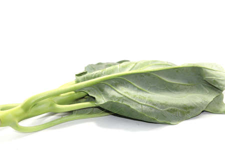 Organic green Chinese kale used in the upcoming Chinese vegetarian festivals around the world on a white background.の写真素材