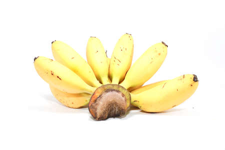 Musa acuminata 'Lady Finger', a banana grown naturally in an organic way, sweet and delicious, healthy on a white background.の写真素材