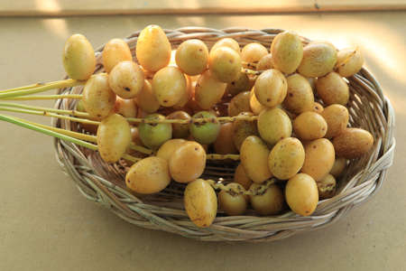 ripe yellow dates are organically grown, sweet and delicious and fresh in a woven basket on a blue and white background with the hands of a man holding them.の写真素材