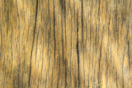 pattern of the old wooden plank is yellow hardwood, natural wood used to decorate the house to be beautiful and protect against robbers and criminals.の写真素材