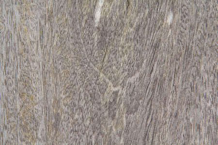 pattern of the old wooden plank is yellow hardwood, natural wood used to decorate the house to be beautiful and protect against robbers and criminals.の写真素材