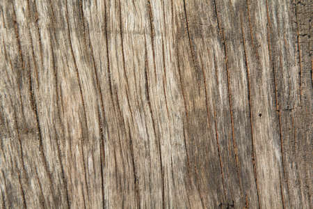 pattern of the old wooden plank is yellow hardwood, natural wood used to decorate the house to be beautiful and protect against robbers and criminals.の写真素材
