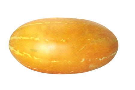 Thai cantaloupe, Asian tropical fruit. Yellow melon or Korean cantaloupe On a white background, the sweet-scented-healthy taste is popular with Thai people who love health. - Muskmelonの写真素材