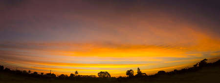 panoramic sky in landscape yellow orange And there are many colors in the beautiful evening in the calm, warm and romantic nature in the countryside and the shadow of the black coconut palms.の写真素材
