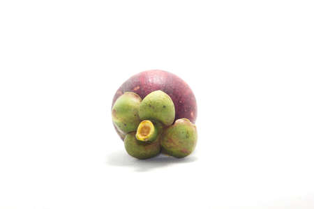 Mangosteen is the queen of Thai fruits. It is a seasonal fruit, popularly consumed and consumed as organic, non-toxic fruit, exported throughout Asia and Europe on a white background.の写真素材