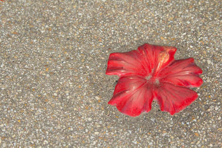 Ceramic flowers decorated in many beautiful colors on the school sidewalk make children want to go to school for a walk.の写真素材