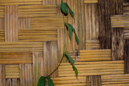Walls of houses, artfully woven with dry bamboo, are a traditional way of life in rural Asia -...