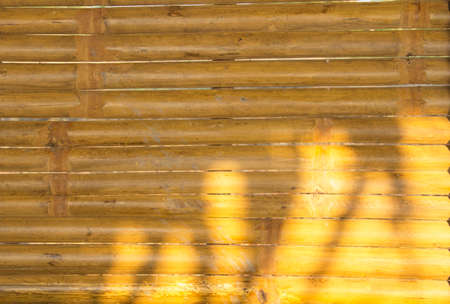 Bamboo Flooring - Bamboo Fence - Yellow Coated with Unitane for durability and preservation of the wood and the evening glow in the shadows of the sun.の写真素材
