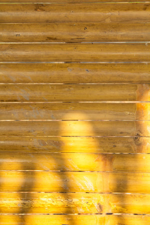 Bamboo Flooring - Bamboo Fence - Yellow Coated with Unitane for durability and preservation of the wood and the evening glow in the shadows of the sun.の写真素材