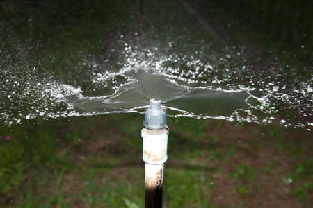 Farmers' agricultural sprinklers for planting trees to grow naturally for harvesting and selling in the fresh vegetable market is a modern and controlled water system.の写真素材