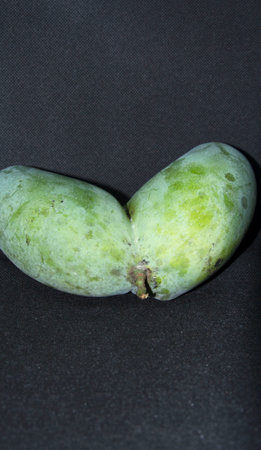 Twin Mangos-Naturally create a farmer's product with unusual shapes of nature exotic and different on-black background,naturally unusual as seen.の写真素材