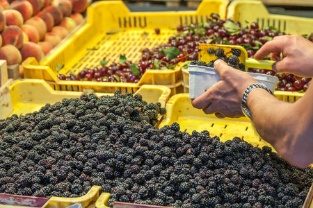 Selling Raspberry in in fruit standの写真素材