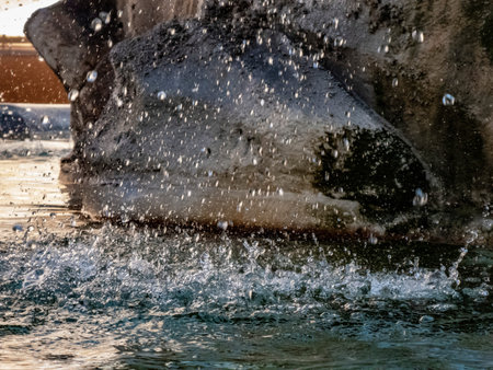 Detail of Pantheon of water in a Fountainの写真素材