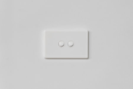 Double Light Switch