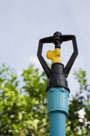 Springkler in the gardenの写真素材