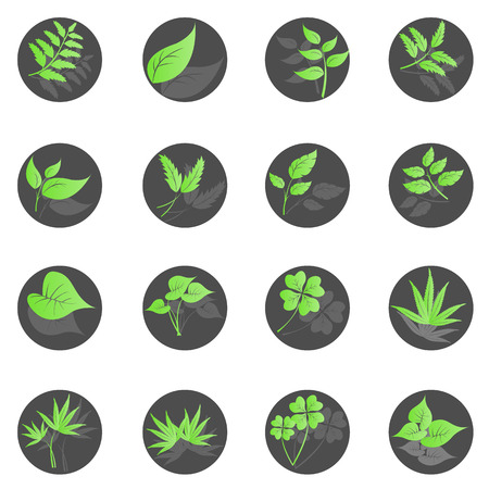 Leaf iconのイラスト素材