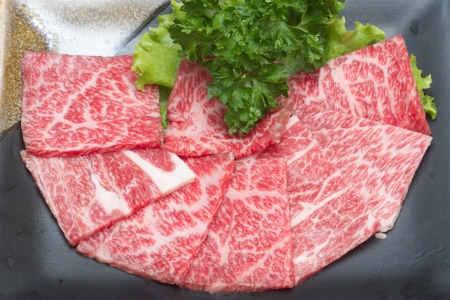 raw  meat for BBQの素材 [FY31019221216]