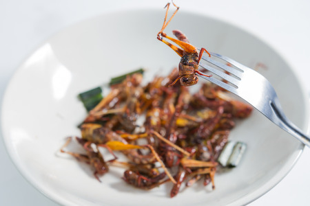 Fried insects  Protein rich foodの写真素材