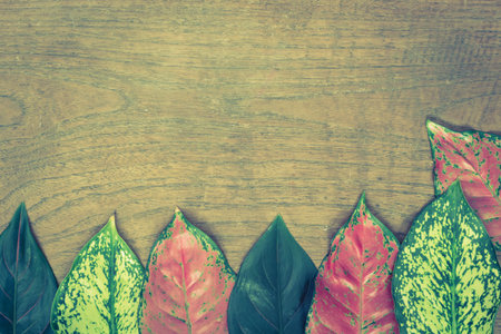 Autumn leaves on wooden background.Vintage styleの写真素材