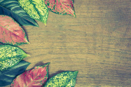 Autumn leaves on wooden background.Vintage styleの写真素材