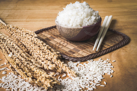 Cooked rice in bowl with raw rice grain and dry rice plant on  wooden table background.の写真素材