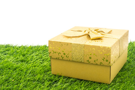 The Gift box on the green grass ground.の写真素材