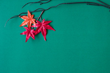 Maple leaves on green background. Free space for text