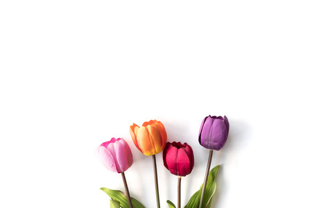 Colorful Tulip flowers on a white background, free space for textの写真素材