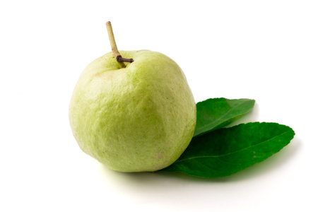 Fresh guava fruit on a white background.の写真素材