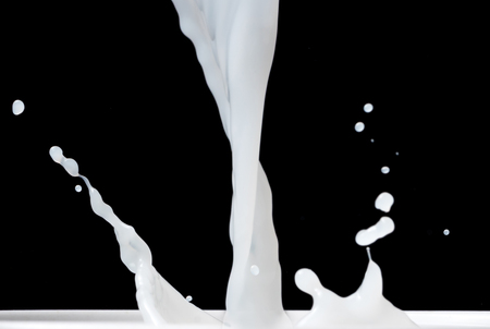 Milk Splash on black background.の写真素材
