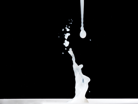 Milk Splash on black background.の写真素材
