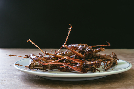 Fried insects in dish on wooden table with black backgroundの写真素材